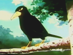 Blackie Crow